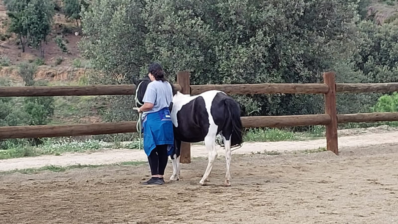 salida equinoterapia tilers 3