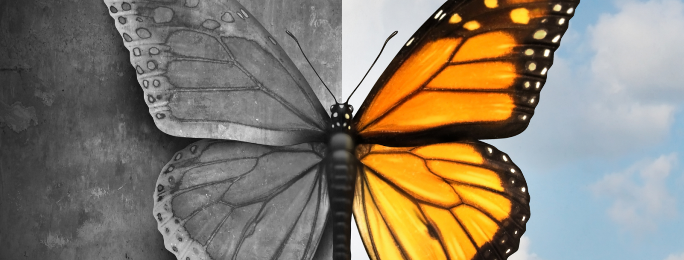 Trastorno bipolar
