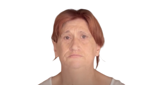 Elisa.png Elisa