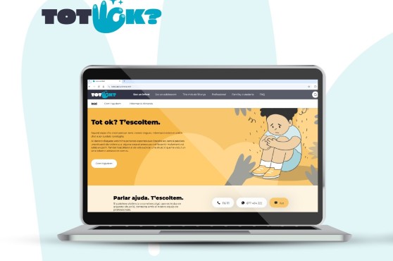 Imatge web del projecte Tot ok?