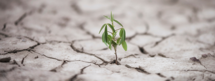 Resiliencia